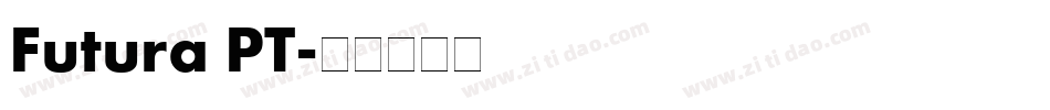 Futura PT字体转换